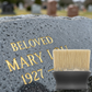 Soft Bristle Tombstone Cleaning Gap Brush