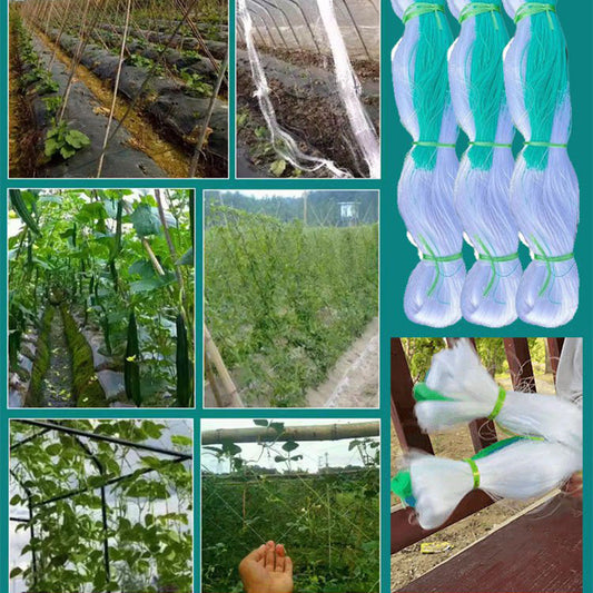 🌿【Climbing Net】— Tomatoes and cucumbers climb up on their own, keeping the fruit off the ground so you don’t have to bend over when picking them! 🍅✨