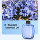 Automatic Aromatherapy Diffuser