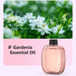 Automatic Aromatherapy Diffuser
