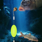 Universal Fishing Rig with Float