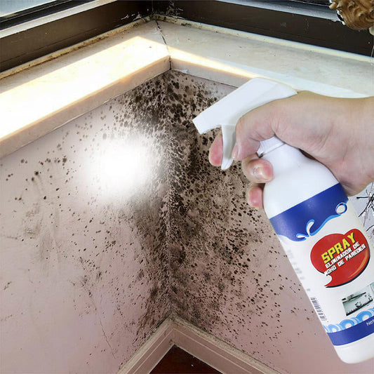 🔥🔥Buy 3 Get 2 Free✨Wallform remover spray