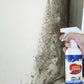 🔥🔥Buy 3 Get 2 Free✨Wallform remover spray