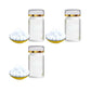 Aquarium Green Water & Moss Eliminator