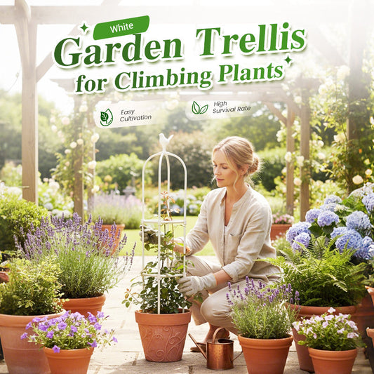 Garden Trellis for Climbing Plants