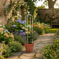 Garden Trellis for Climbing Plants