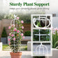 Garden Trellis for Climbing Plants