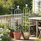 Garden Trellis for Climbing Plants