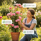 Garden Trellis for Climbing Plants