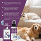 Effective Pets Odor Eliminator Spray