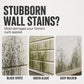 Fast-Acting Wall Mold Remover Spray