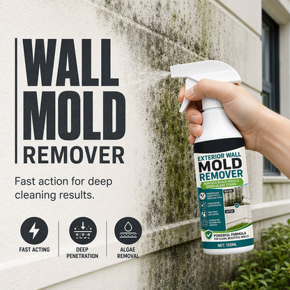 Fast-Acting Wall Mold Remover Spray
