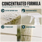 Fast-Acting Wall Mold Remover Spray