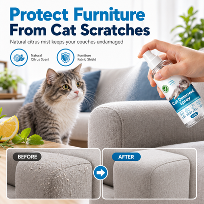 🐱  Citrus Cat Scratch Deterrent Spray – 100ml, Stop Cats Scratching Furniture 🧴